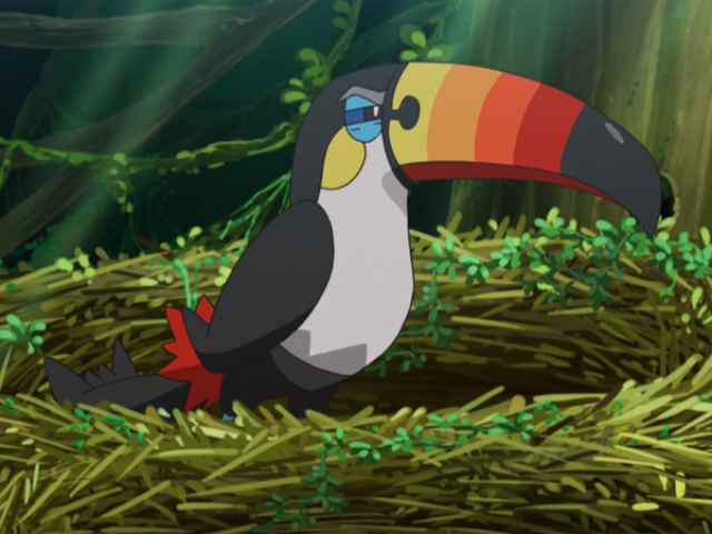 Toucannon