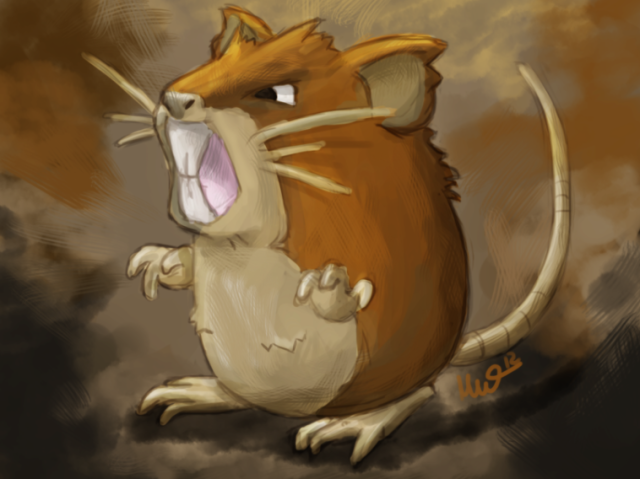 Raticate