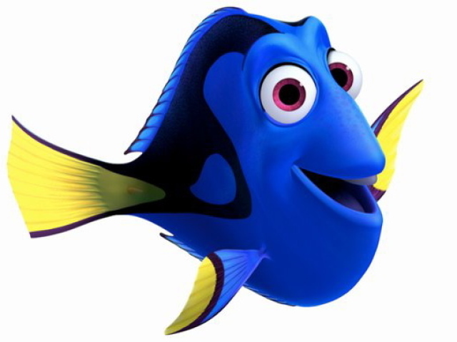 Dory