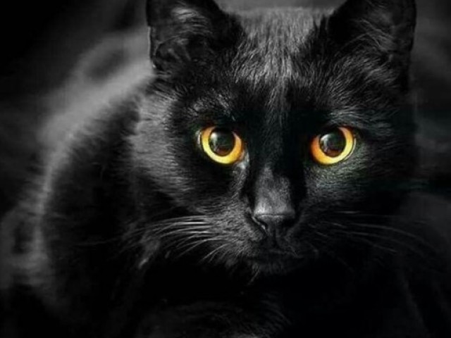 Preto
