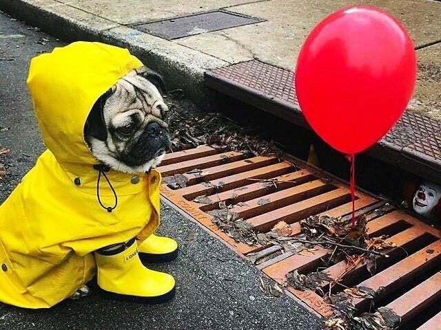 Olha! Um balão!