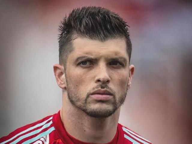 Volpi