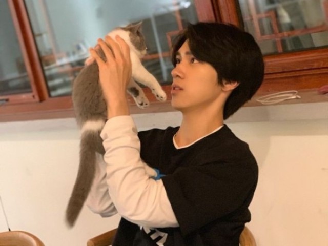 Hendery