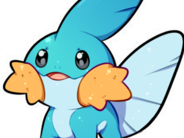 Mudkip