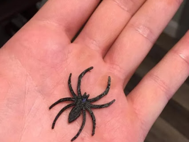 Um acessório de aranha para enfeitar o cabelo