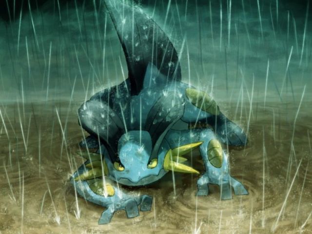 Swampert