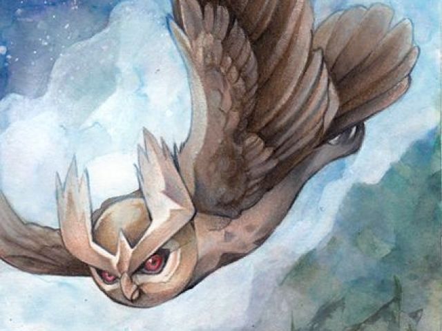 Noctowl