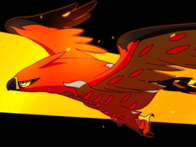 Talonflame