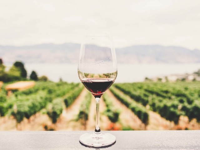 Vinho