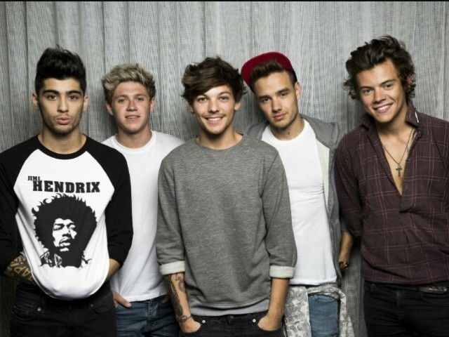 Qual membro do One Direction seria seu namorado?