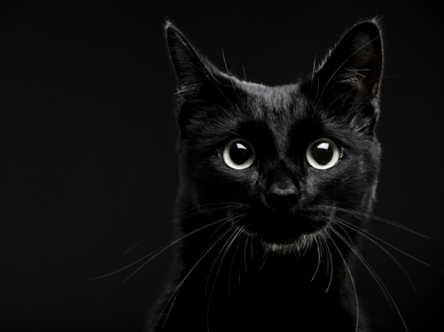 Preto