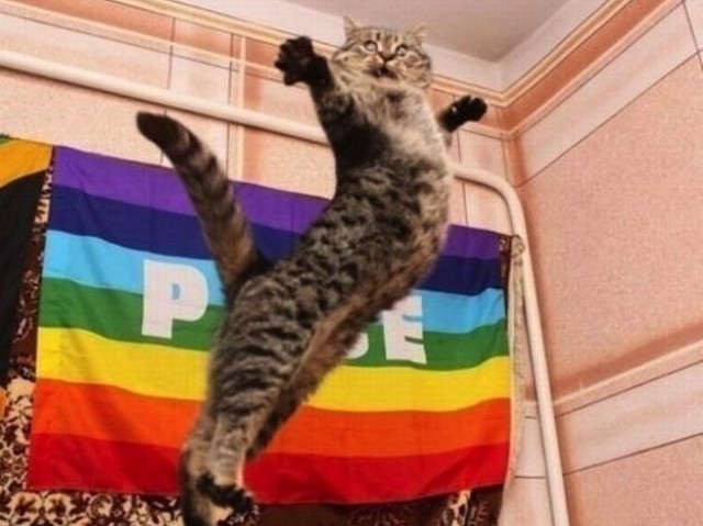 Essa foto é o meu espírito todinho