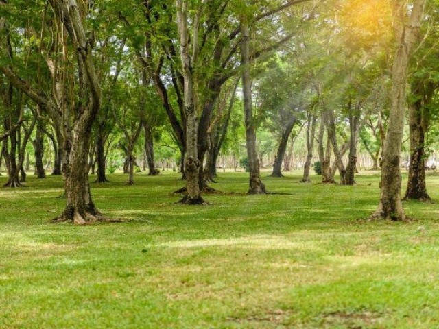 Para um parque, ele fica incrível à noite!