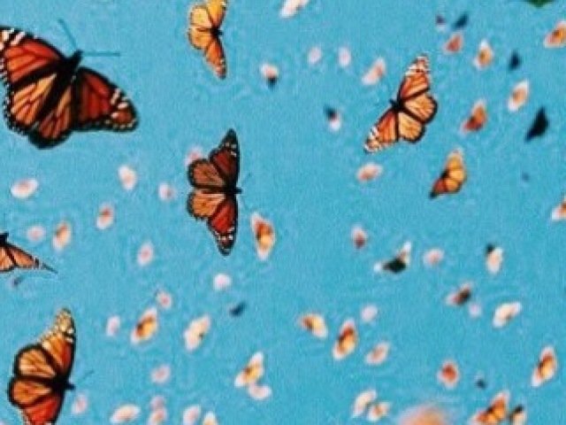 🦋Maravilhoso 🦋