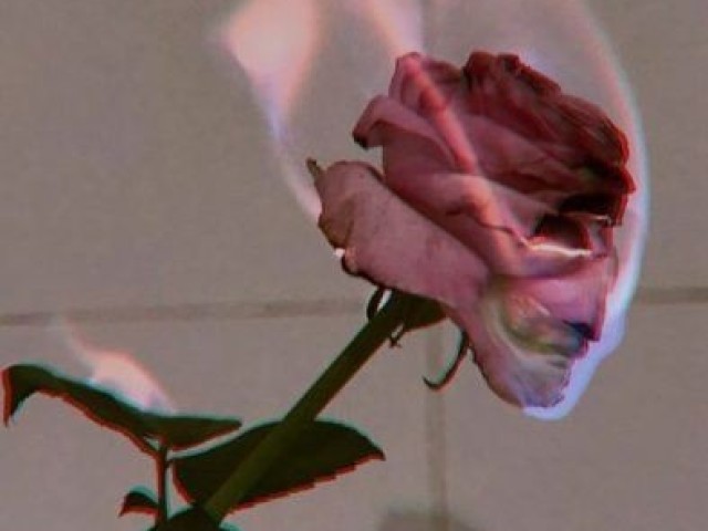 Tumblr! Seu material é muito tumblr e maravilhoso!