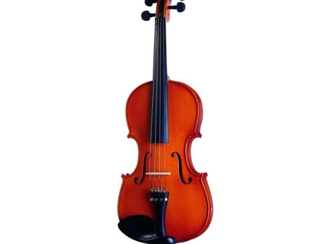 Violino