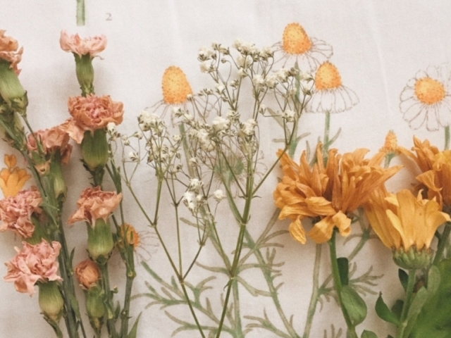 ☆- Descubra o seu aesthetic -☆