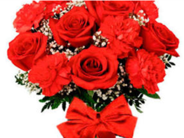 Rosa Vermelha