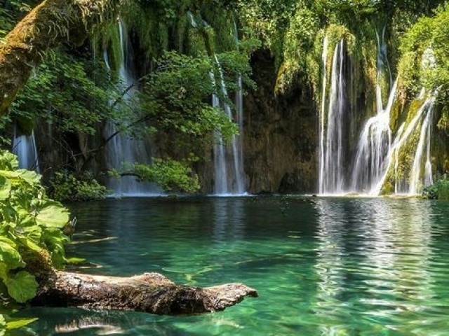 CACHOEIRA