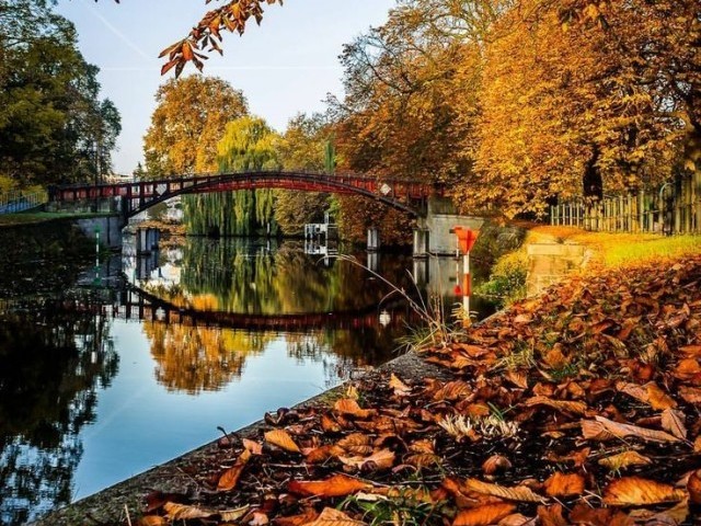 Uma caminhada suave e tranquila no parque para acalmar os nervos de uma estressante semana. Você se sentou no banco do parque e sentiu aquele ar fresco e simples da natureza. Uma delícia!