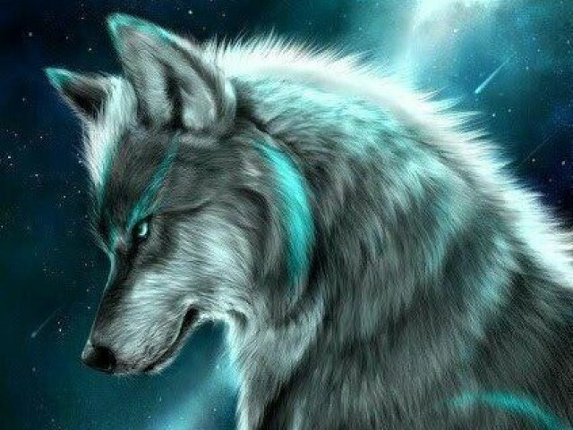 Lobo