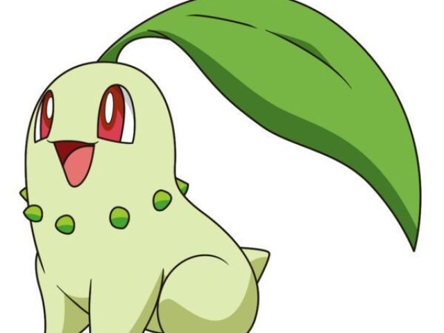 Chikorita.