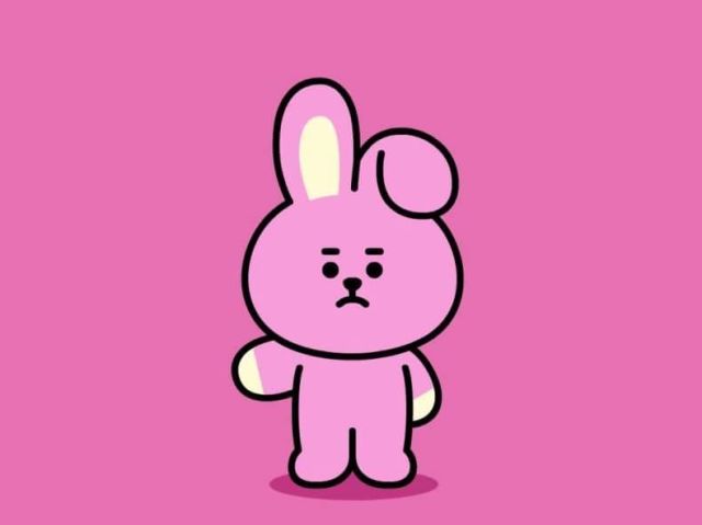 cooky