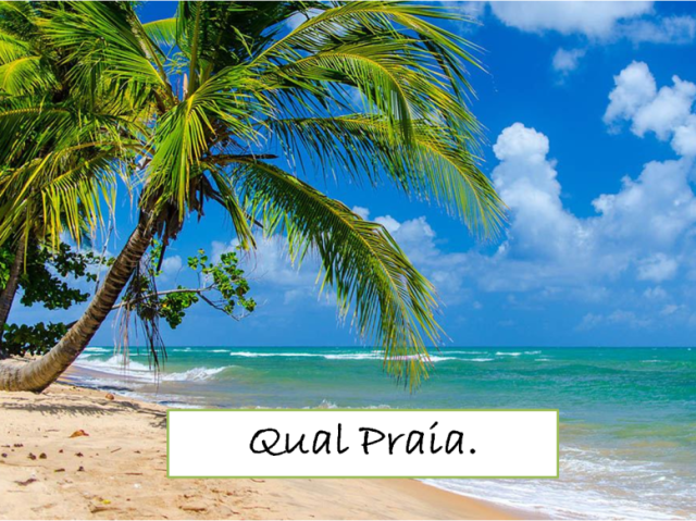 A qual praia você deve ir no verão?