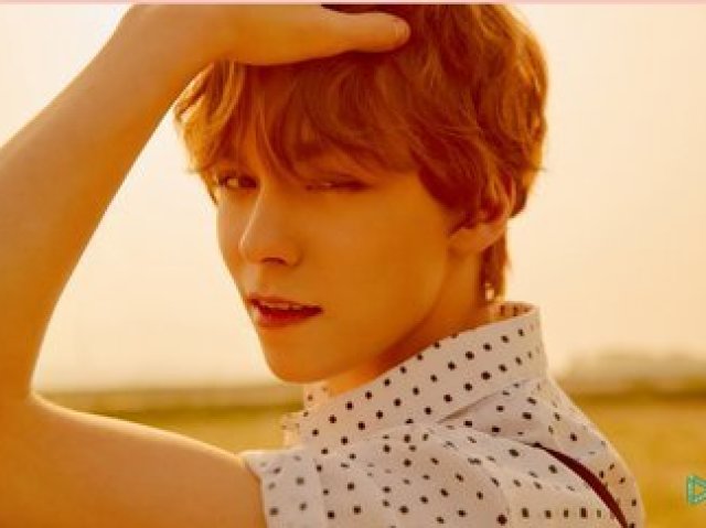 Vernon ~ Seventeen