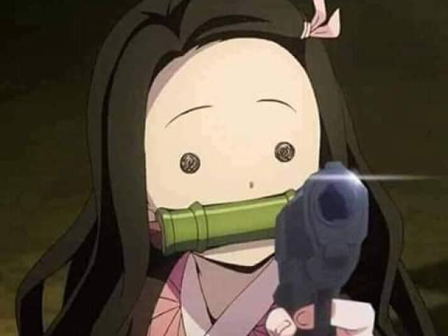 Sla pô