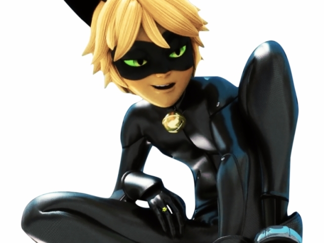 Chat Noir