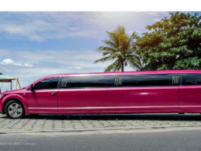 Limousine!