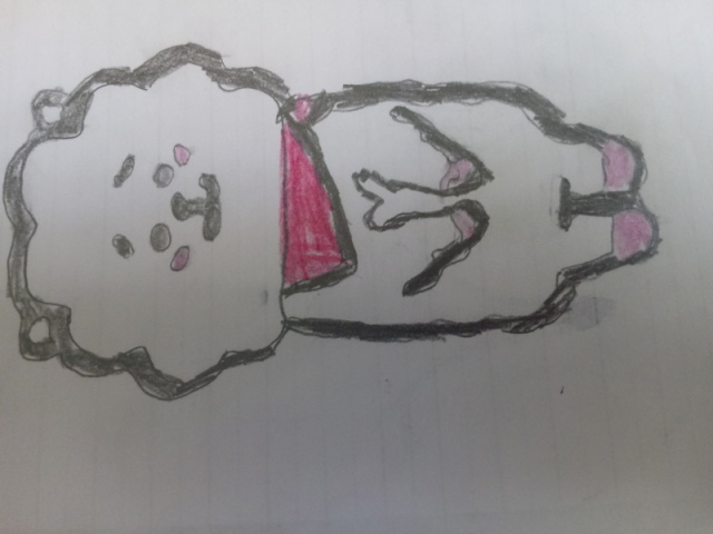 Rj