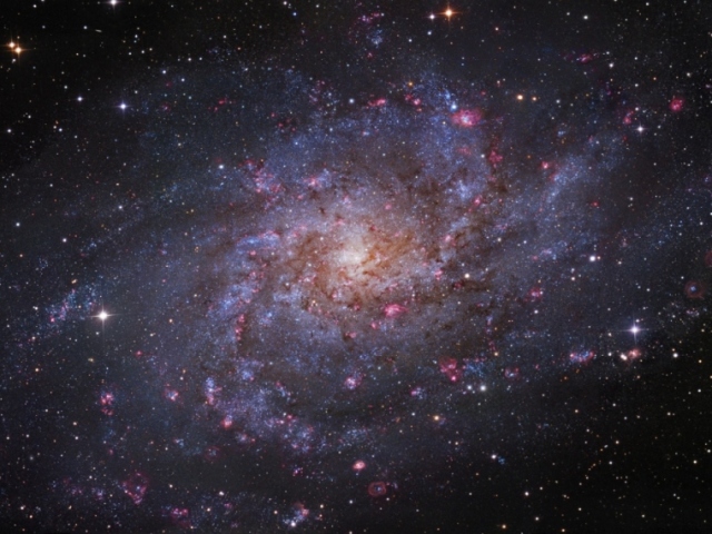 M33