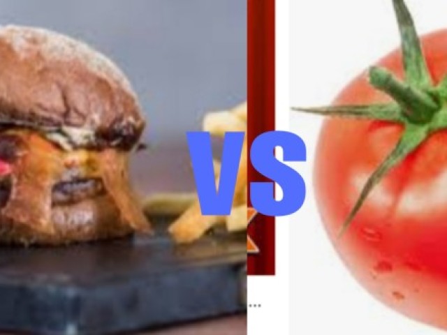 Tomate vs hambúrguer