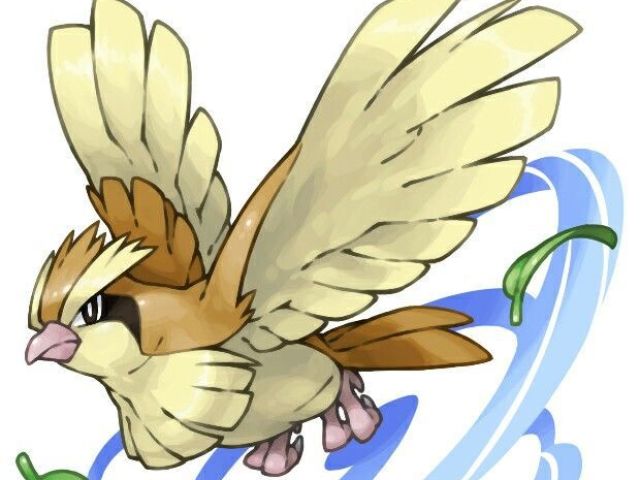 Pidgey