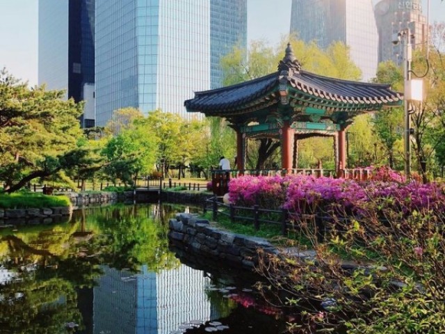 Passear por pontos turísticos e conhecer a cultura que corre nas suas veias.