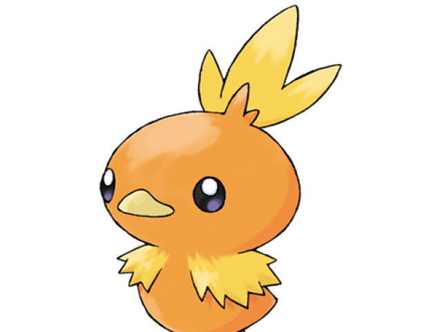 Torchic