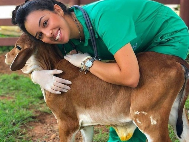 Veterinária