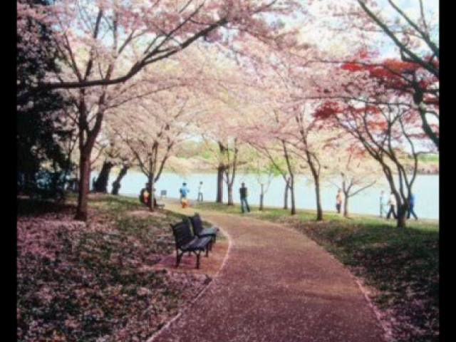 Esse parque romântico