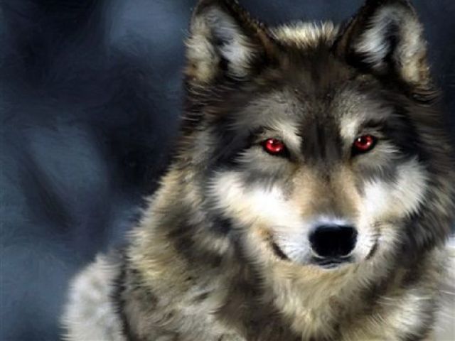 Lobo