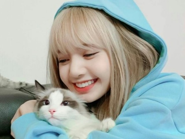 Lisa