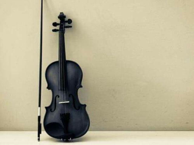 Violino