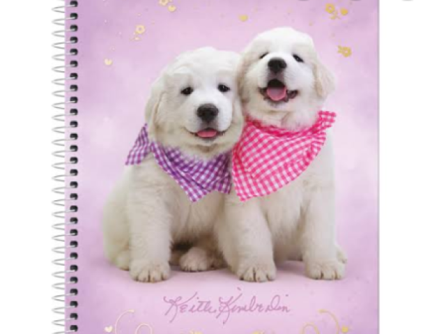 Caderno fofo