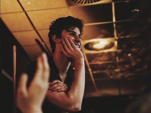 Você conhece mesmo Shawn Mendes?