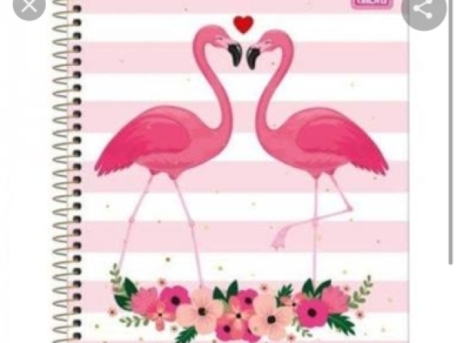 Caderno do flamingo