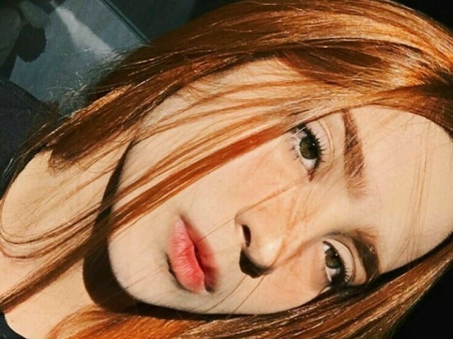 Dia legal