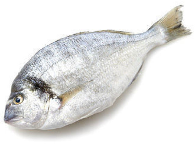 peixe