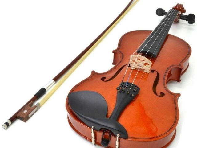 Violino