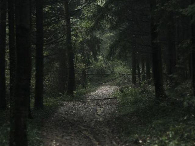 Floresta escura, e provavelmente com vampiros lobisomens etc, que termina em seu destino certo